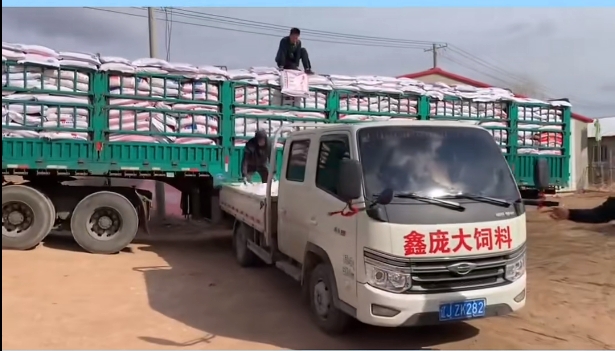 5357cc��˹ά��˹(�й�)���޹�˾����