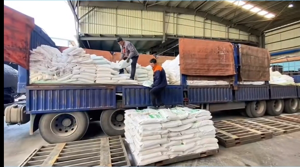 5357cc��˹ά��˹(�й�)���޹�˾����