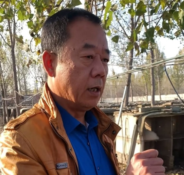 5357cc��˹ά��˹(�й�)���޹�˾����