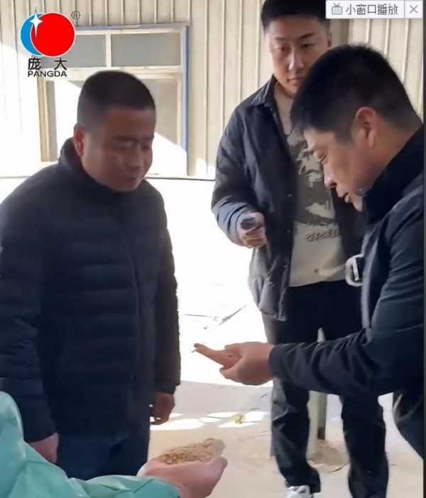 5357cc��˹ά��˹(�й�)���޹�˾����