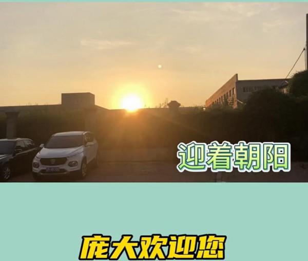 5357cc��˹ά��˹(�й�)���޹�˾����