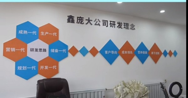 5357cc��˹ά��˹(�й�)���޹�˾����