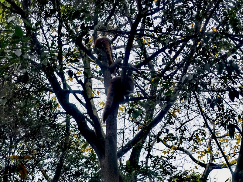 5357cc��˹ά��˹(�й�)���޹�˾����