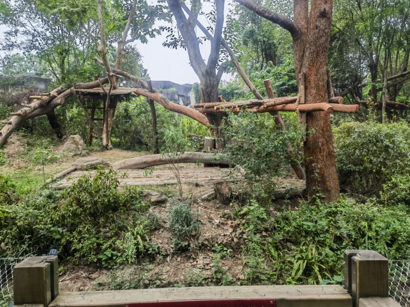 5357cc��˹ά��˹(�й�)���޹�˾����